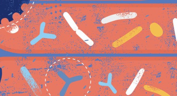 Haltbar ohne Stress? Fermentierte Kosmetik mit Lactobacillus