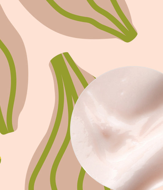 Bodymilk - Tonka und Kardamom