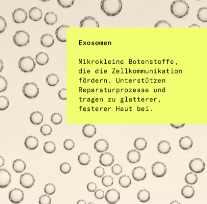 hej organic - Firming Retinal Serum | Vitamin A Serum mit Exosomen